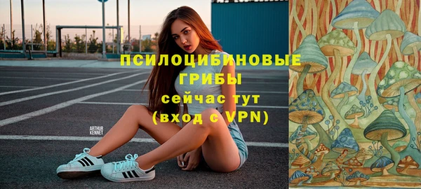 трава Армянск