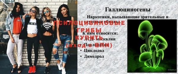 соль курить ск Арсеньев