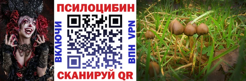 что такое   Усмань  OMG ONION  Галлюциногенные грибы Magic Shrooms 
