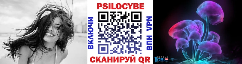 Псилоцибиновые грибы Cubensis Усмань